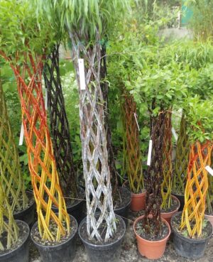 Stage Osier vivant  : Week-end du 14 et 15 Mars 2026